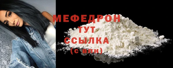 гашик Няндома