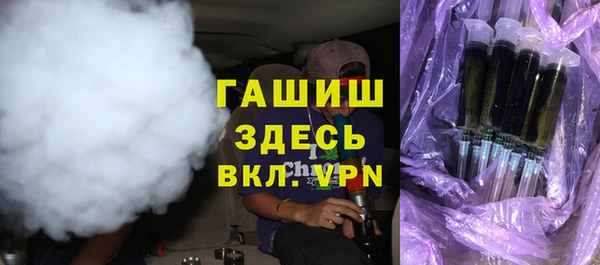 гашик Няндома