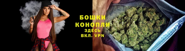 гашик Няндома