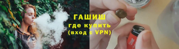 гашик Няндома