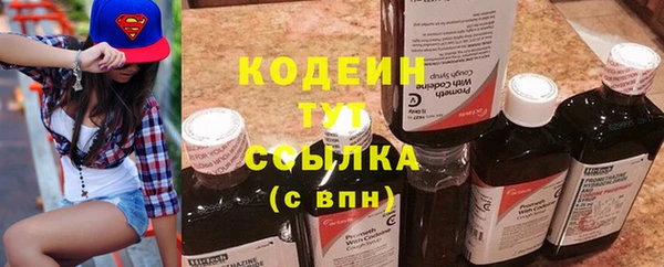 гашик Няндома