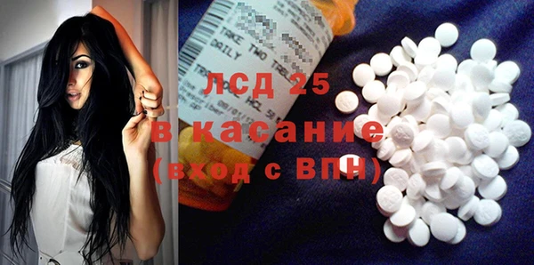 гашик Няндома
