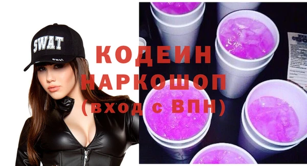 гашик Няндома