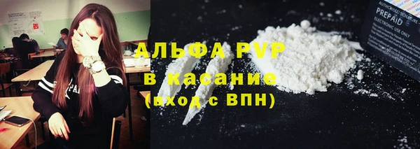 гашик Няндома