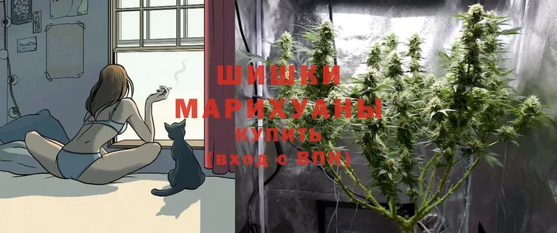 наркота  Покров  Марихуана OG Kush 